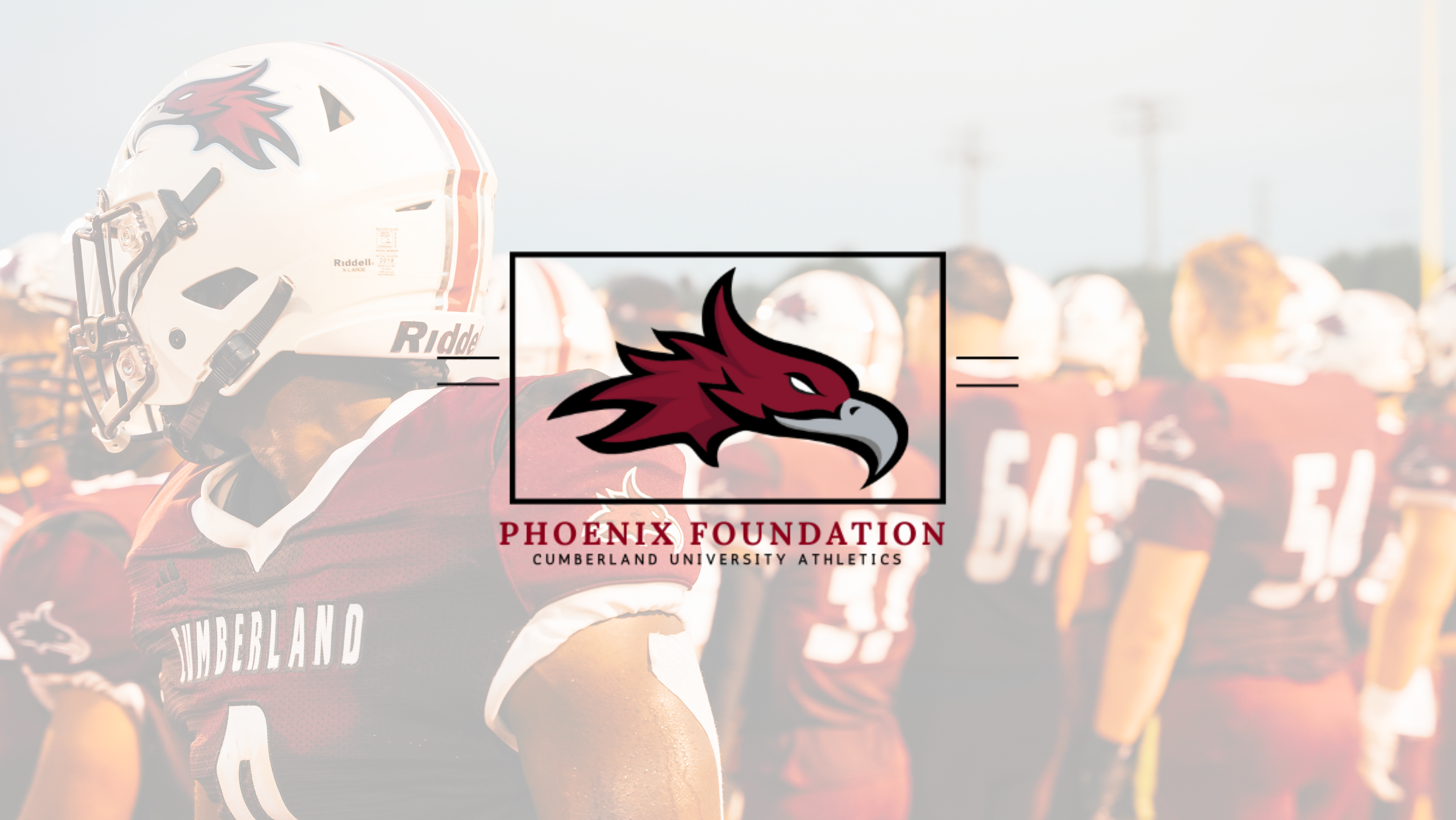Phoenix Foundation