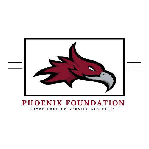 Phoenix Foundation logo